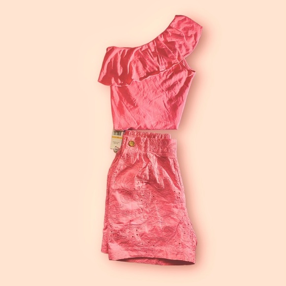 Nanette Lepore Coral, Luxury, Pull -On Embroidered Shorts, Small - Picture 6 of 16